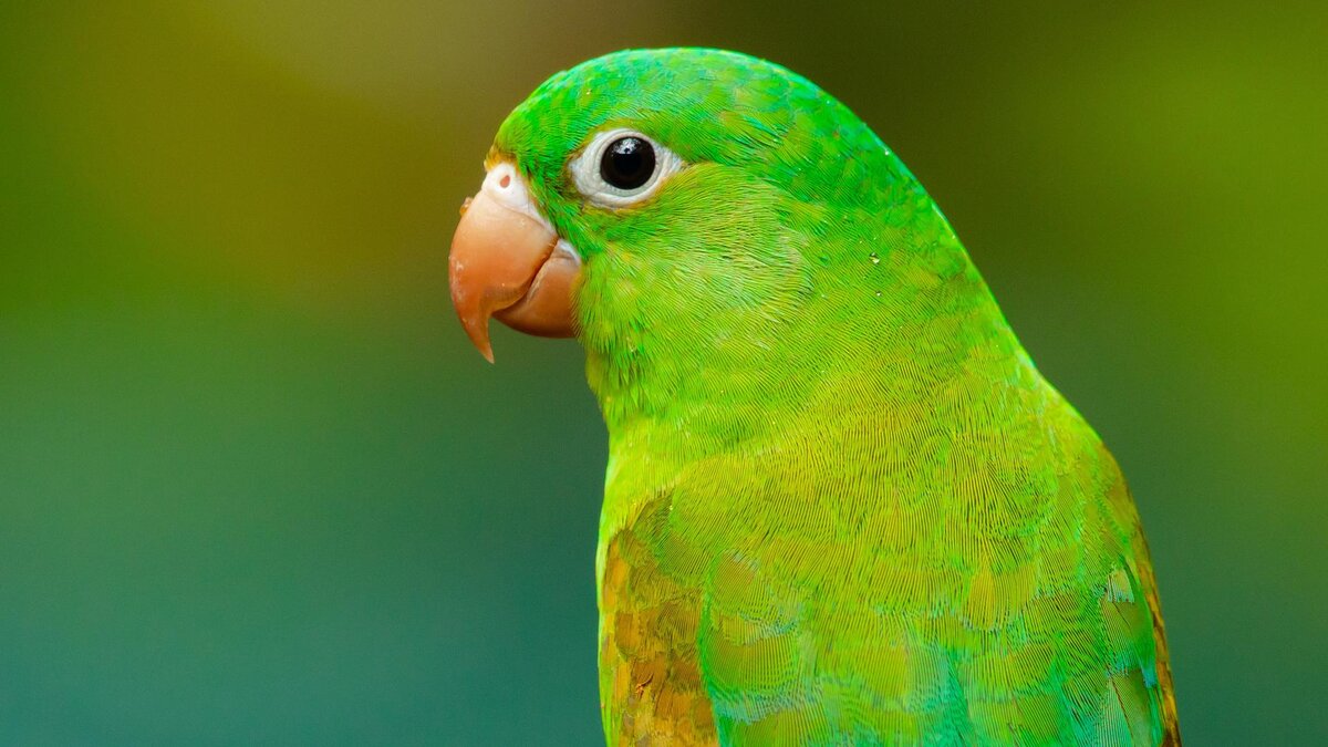 Фото: Zdeněk Macháček/unsplash.com