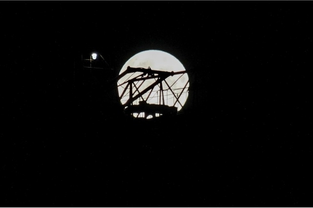    Фото: Из архива/ Алексей Романов, Тверь ВКонтакте