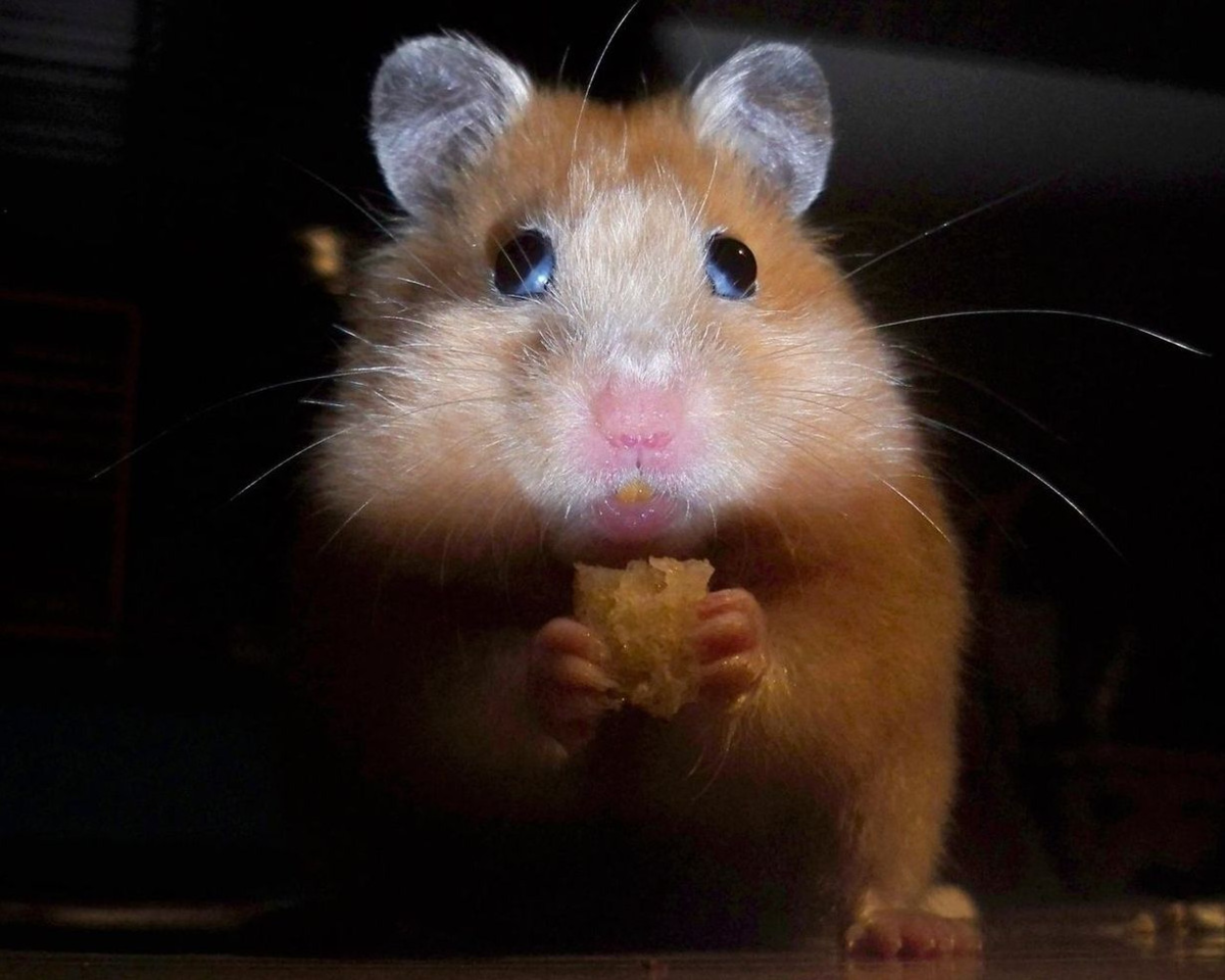 Когда в детском лагере рассказываешь страшилку на ночь. 