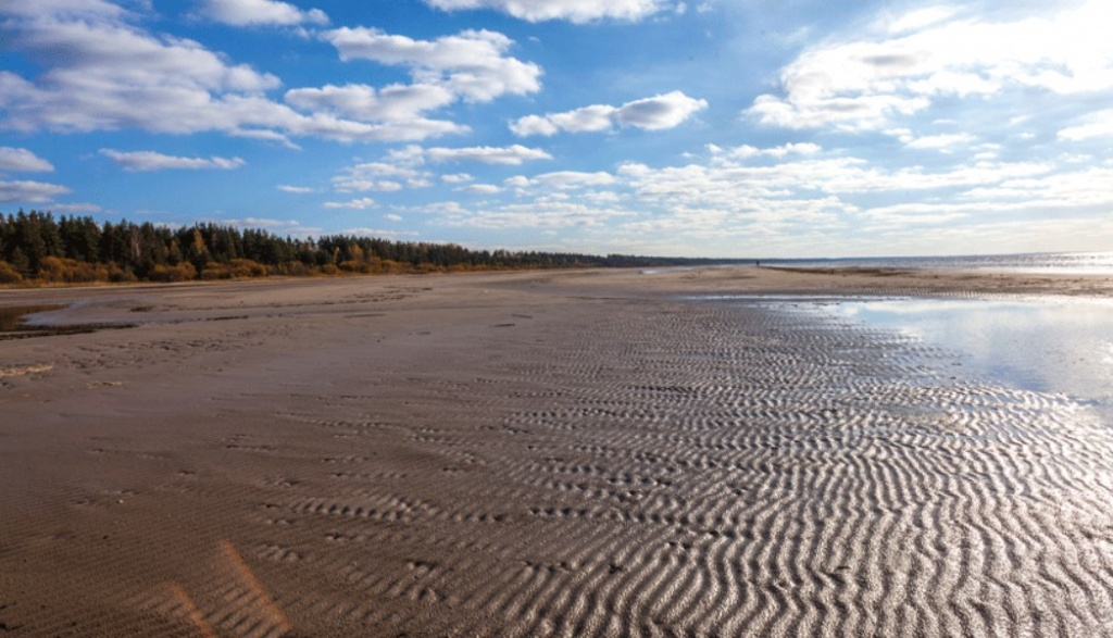 Пресс-служба ООПТ / Фото: Арсений Кашкаров