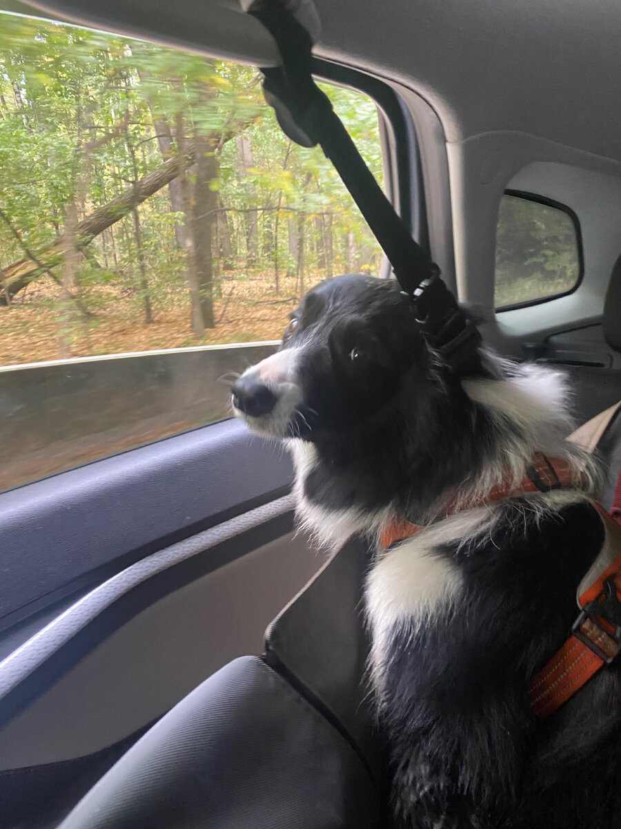 Фото автора канала