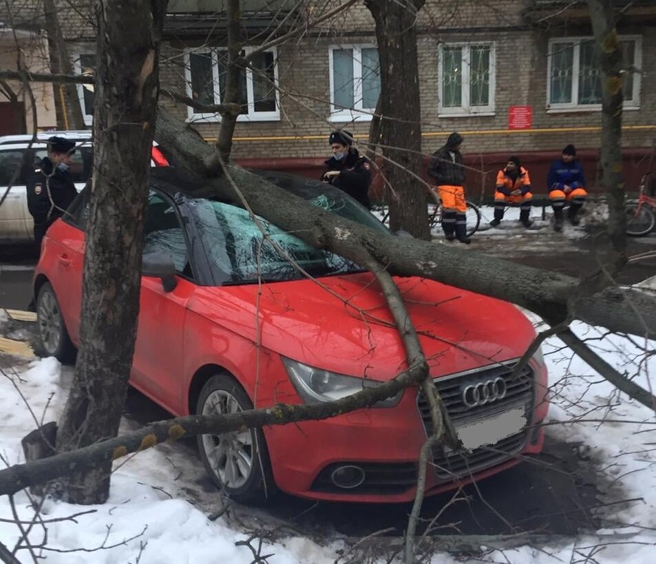 Фото Юлия #Каблинова