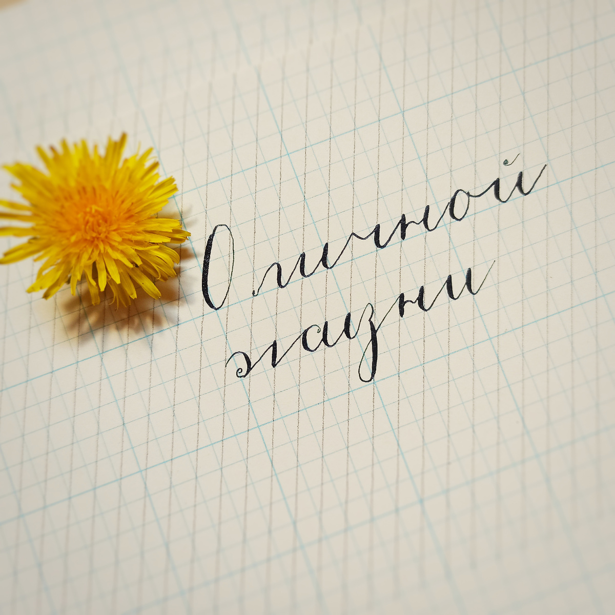 О личной жизни