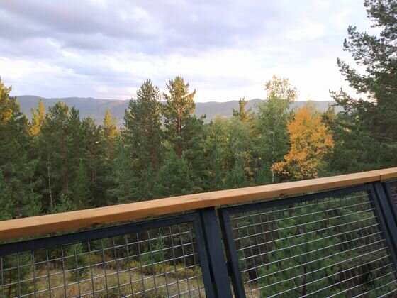    Красноярск. Сентябрь в Гремячей Гриве Андрей Никитин © ИА REGNUM