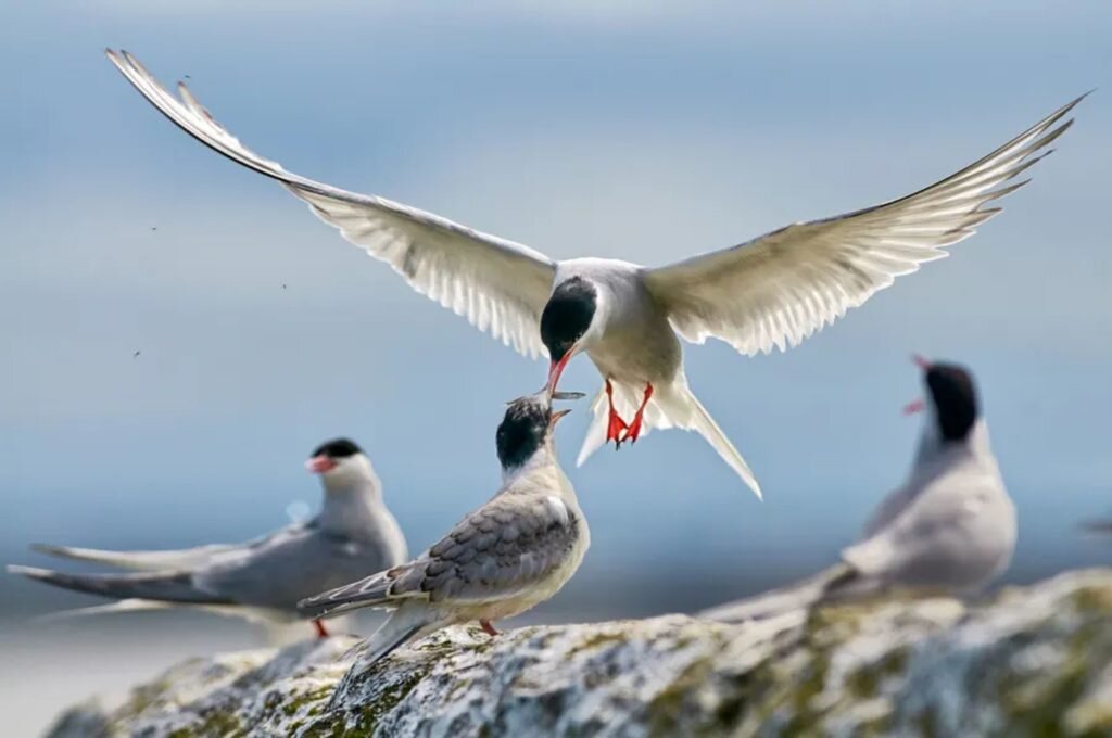    Фото: Franco Fratini