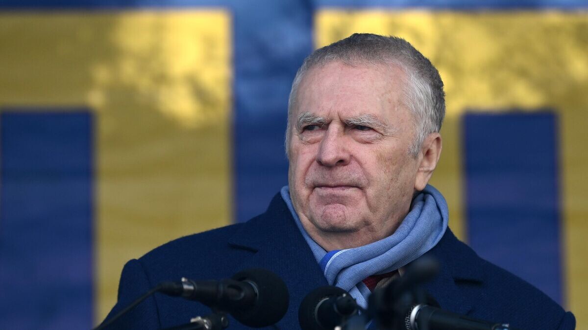    Лидер ЛДПР Владимир Жириновский© РИА Новости / Максим Блинов