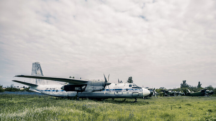 ФОТО: OLGAYASHKINA/SHUTTERSTOCK.COM