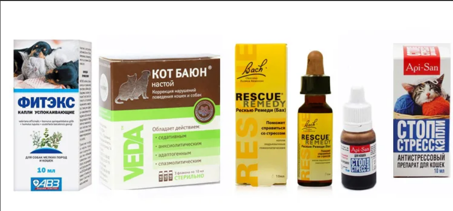 Четырежды фигня! 