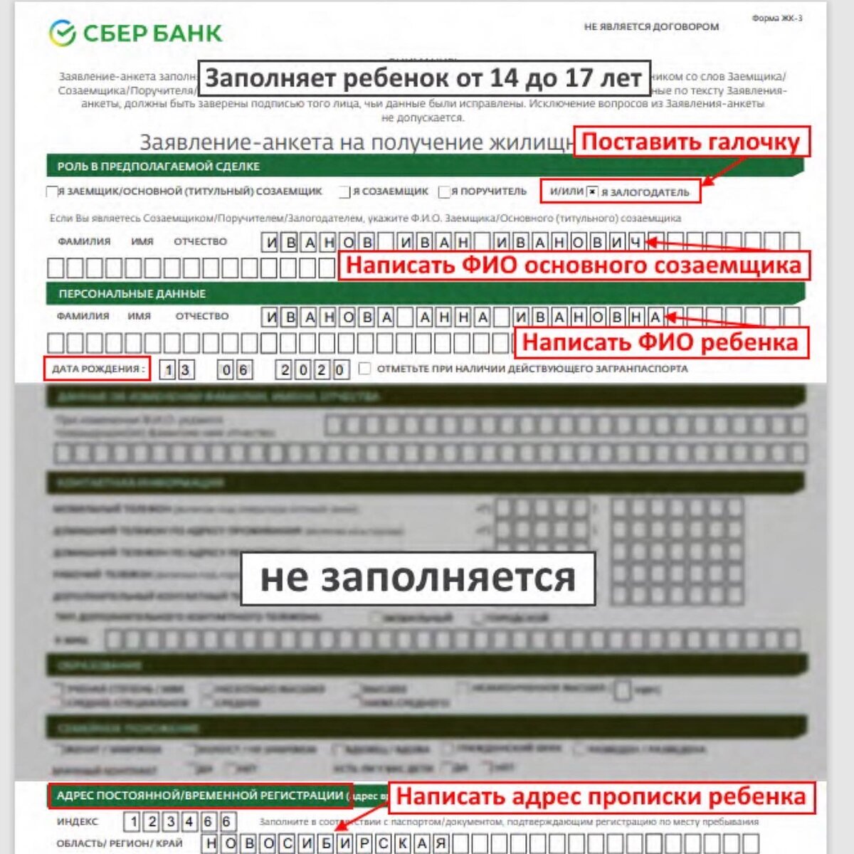 ⏮⏭ Когда опека и нотариус на разных берегах- что же делать? | Риэлтор в  Петербурге - Регина Савостина | Дзен