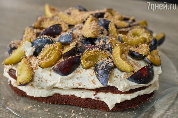    Шоколадно-кремовый торт со сливой: рецепт от Александра Бельковича Канал СТС
