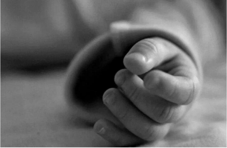 Фото:соцсети 