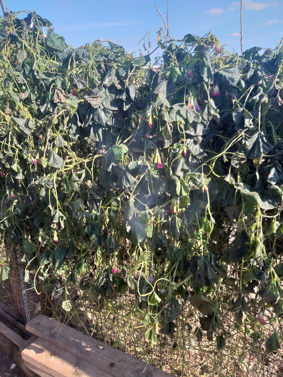 Вот и лето прошло