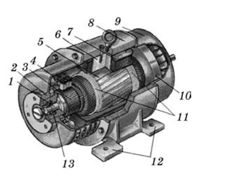 Рис. 1 Разрез конструкции машины постоянного тока: 1 — вал; 2, 9 — подшипниковые щиты; 3 — коллектор; 4 — щеткодержатели; 5 — магнитопровод якоря; 6 — сердечник главных полюсов; 7 — катушка с обмоткой возбуждения; 8 — станина; 10 — вентилятор; 11 — бандаж; 12 — лапы станины; 13 — подшипник.