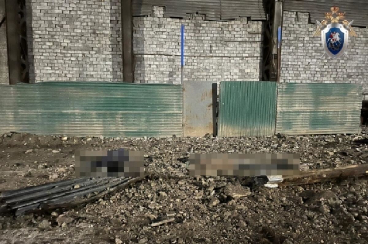    Уголовное дело возбудили по факту гибели двух рабочих в Нижнем Новгороде