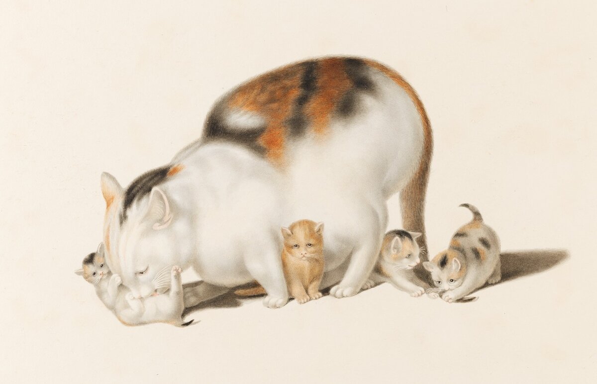 Gottfried Mind. Mutterkatze mit vier spielenden Jungen. Swiss National Library, Prints and Drawings Department