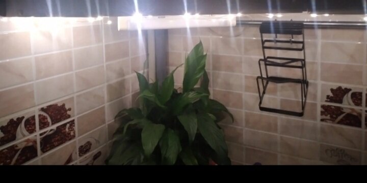 Личное фото