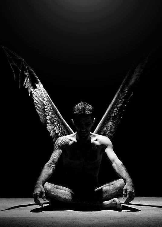 Яндекс картинки