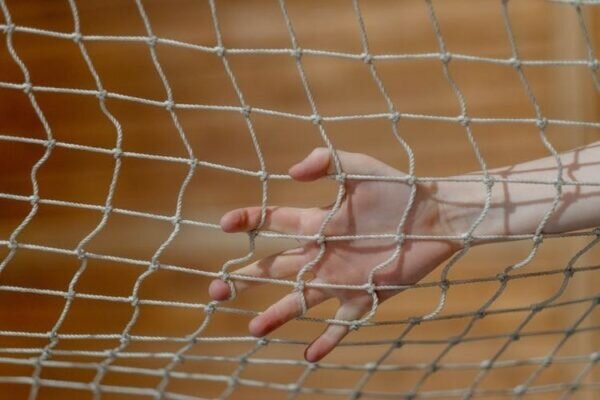    Фото: pexels.com