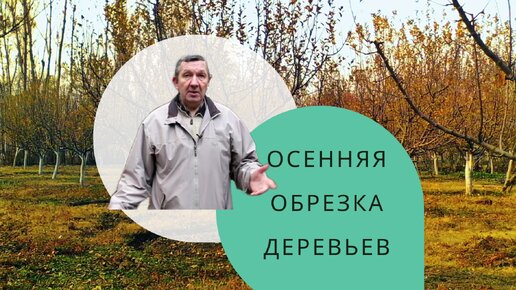 Обрезка плодовых деревьев