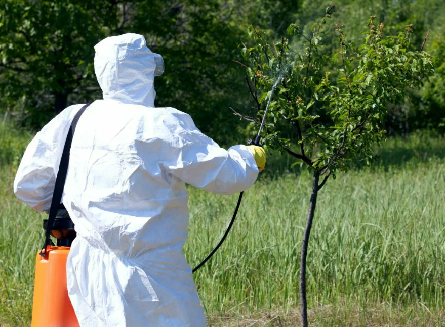 Фотография взята из источника sovet.boltai.com