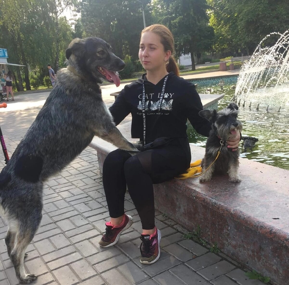 Прогулки в городском парке