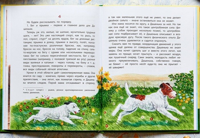 Необычная семейка: бычок, воспитанный собаками, считает себя щенком