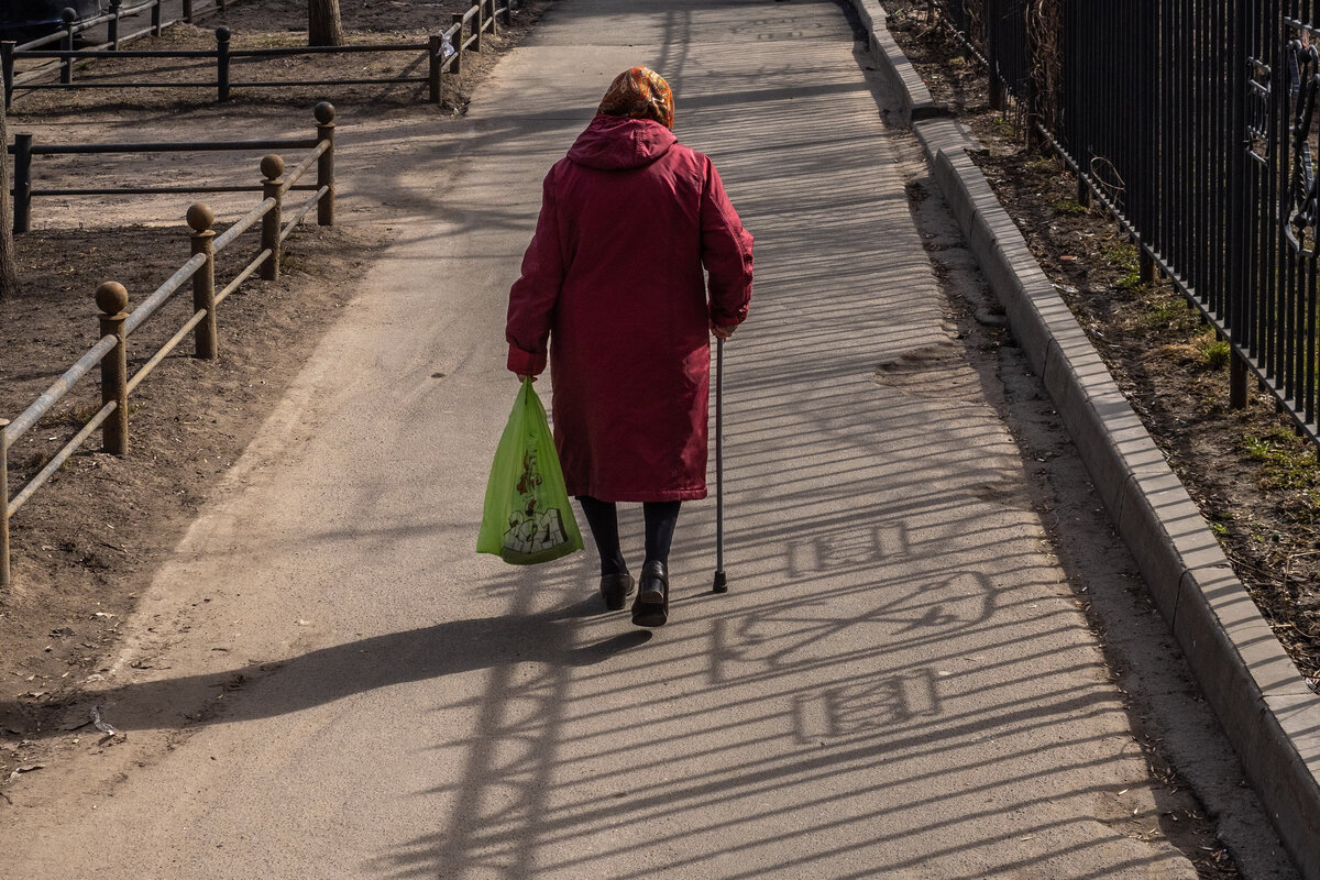   
 Фото: Огнев Михаил/«Фонтанка.ру»