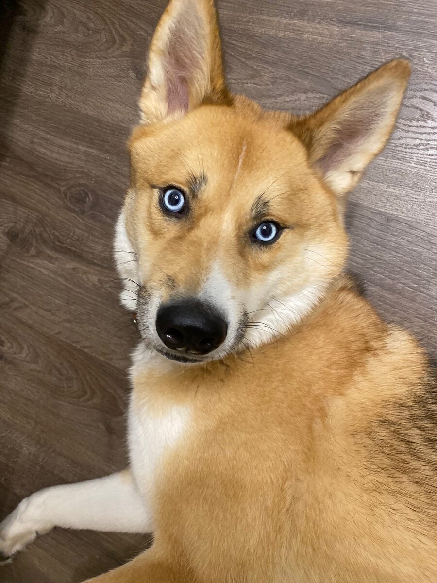 Кого ты впустила в наш дом? 