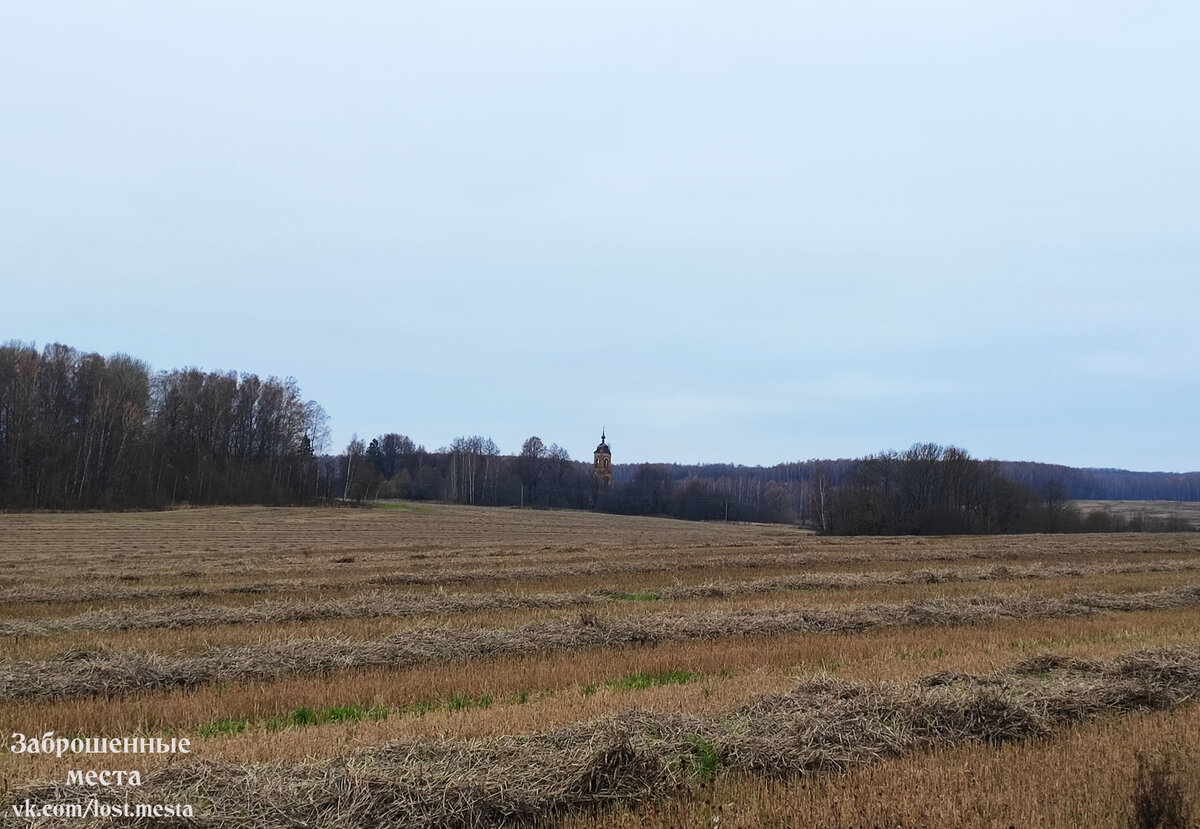 Церковь Николая Чудотворца. Николо-Дол. Фото автора.