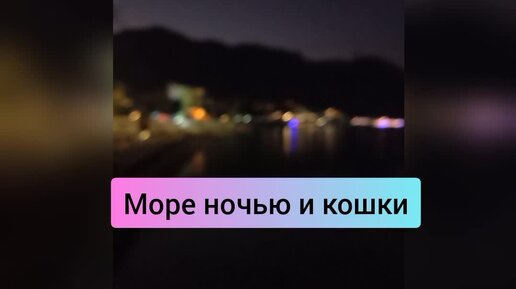 Море ночью и кошки