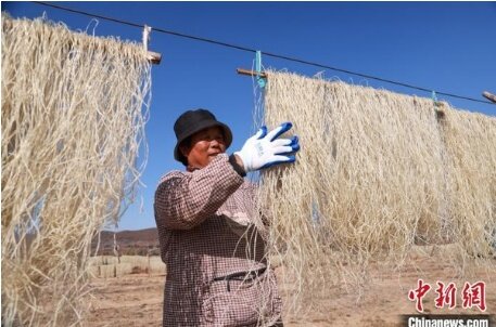 Фото из открытого источника