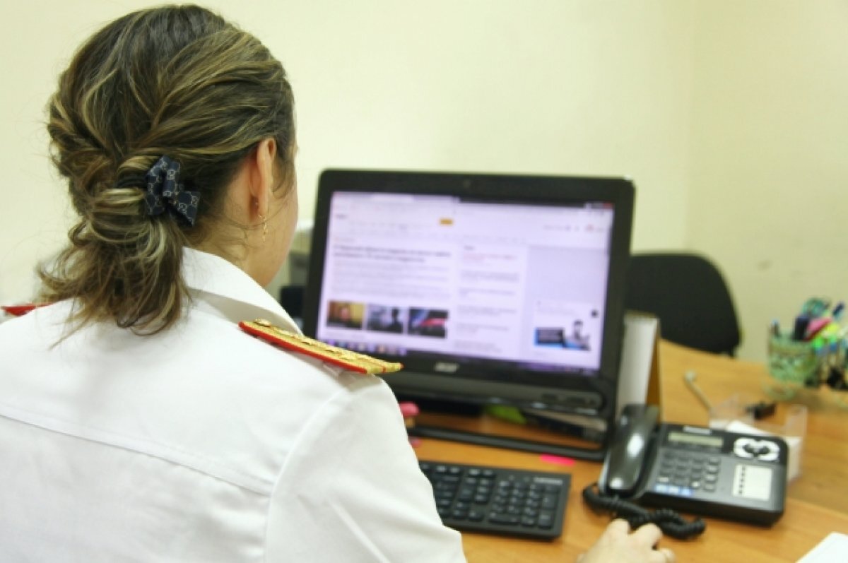    СК проверяет информацию о нападении собак на ребёнка у школы в Твери