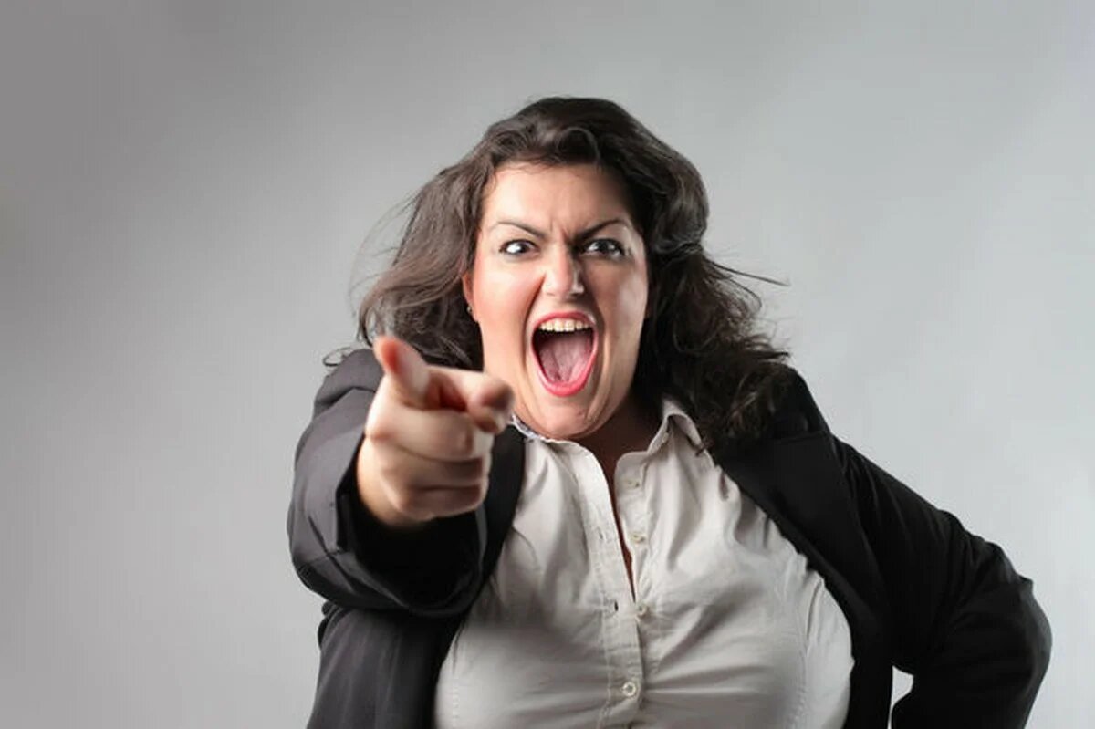 Из открытых источников Яндекс