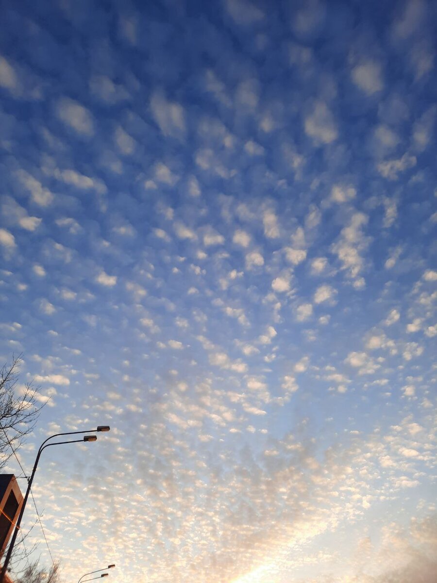 Фото автора. Вчера было вот такое небо) необычно)