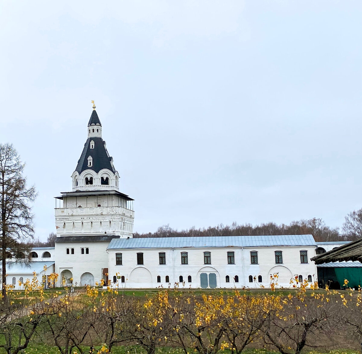 Германова башня 