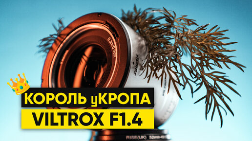 VILTROX 23MM F1.4 Король кропа на дешевом БЗК / Что он может?