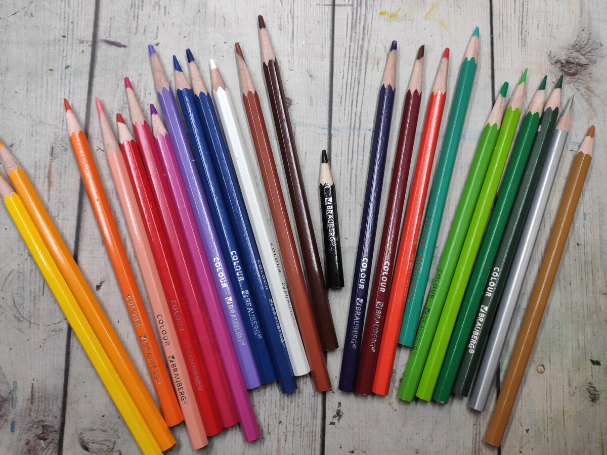 цветовая палитра карандашей в наборе 24 цвета