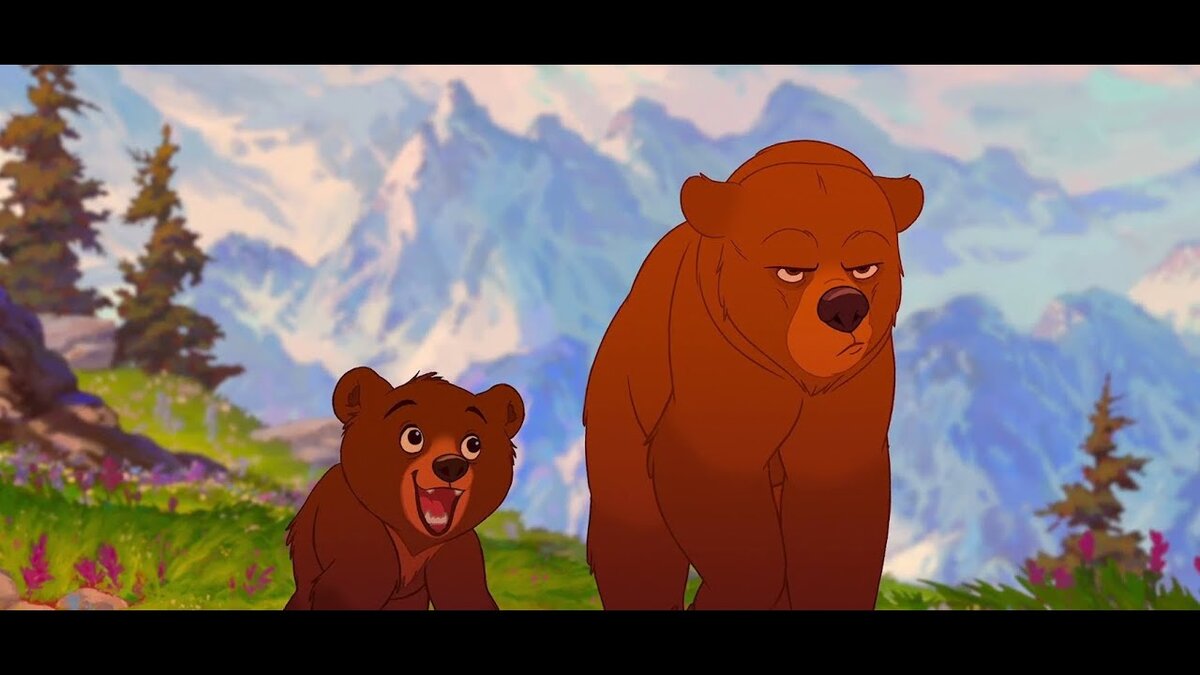 Take those bears