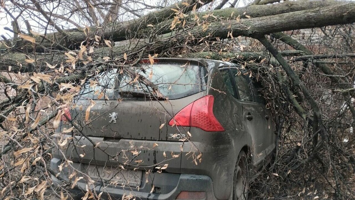     Урагананый ветер бушует в Нижегородской области с 12 ноября, проверяя на прочность инфраструктуру. Пока больше всего в регионе досталось проводам и личным автобмобилям.