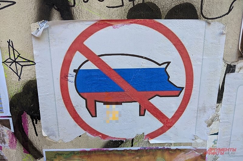    Фото:  АиФ/ Георгий Зотов