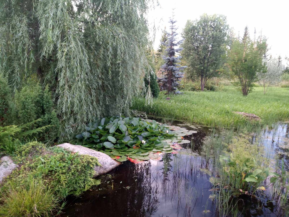 Это наши места, полюбуйтесь красотой, фото из домашнего архива.