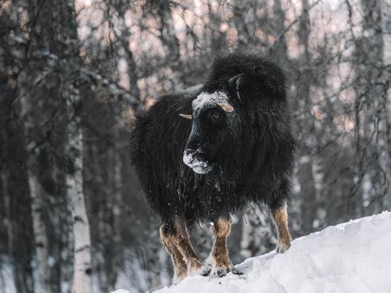     Фото unsplash.com