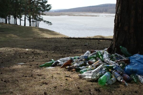 Сосновый бор. Весна