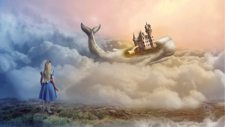 Фото взято из открытых источников