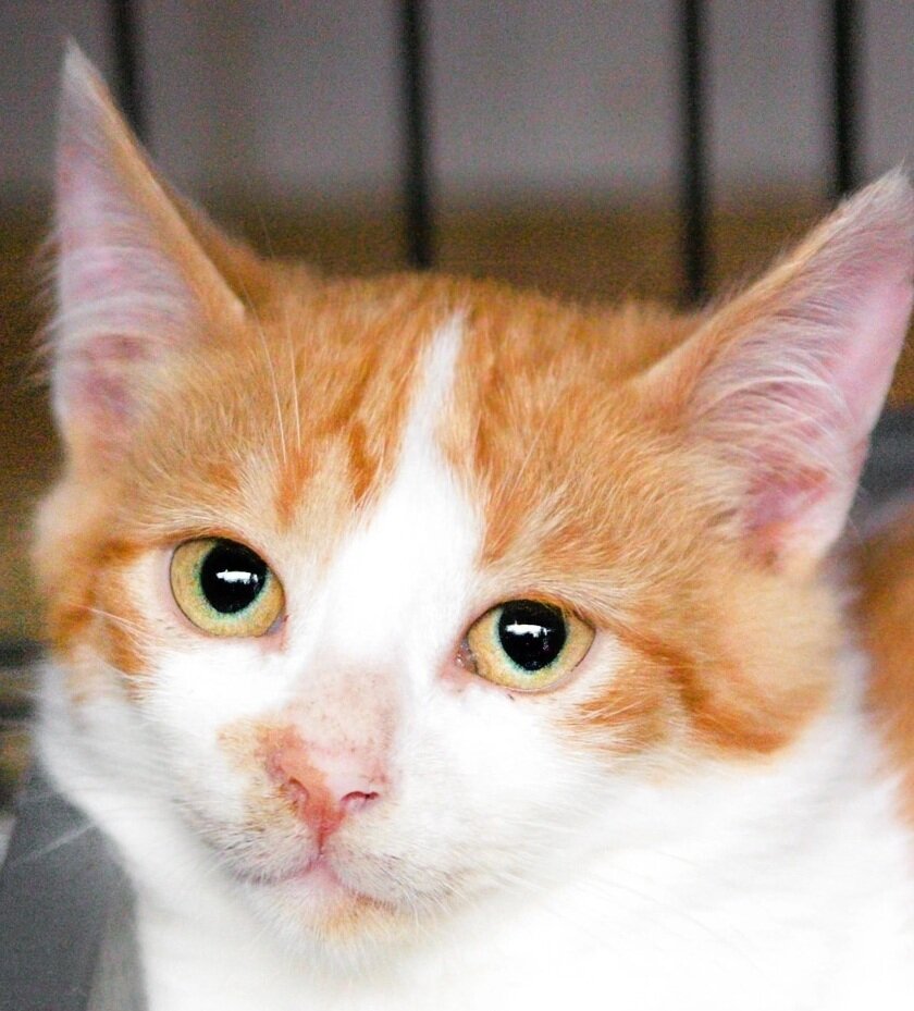 Мадагаскар