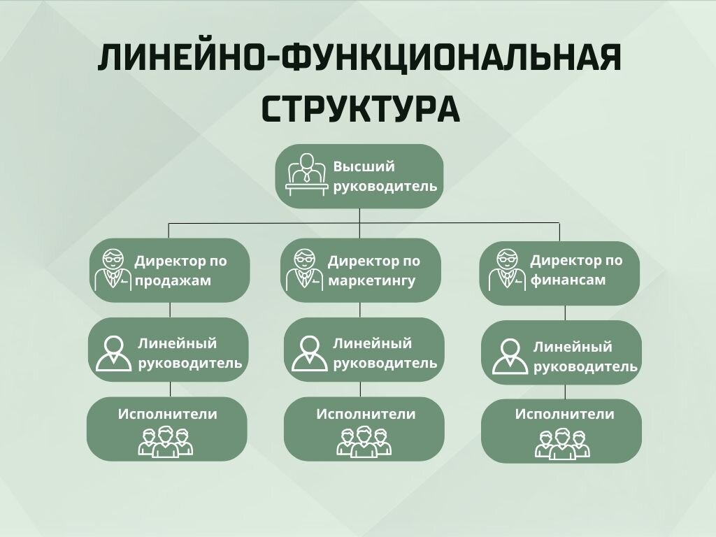 Организационная структура предприятия: что это такое, виды