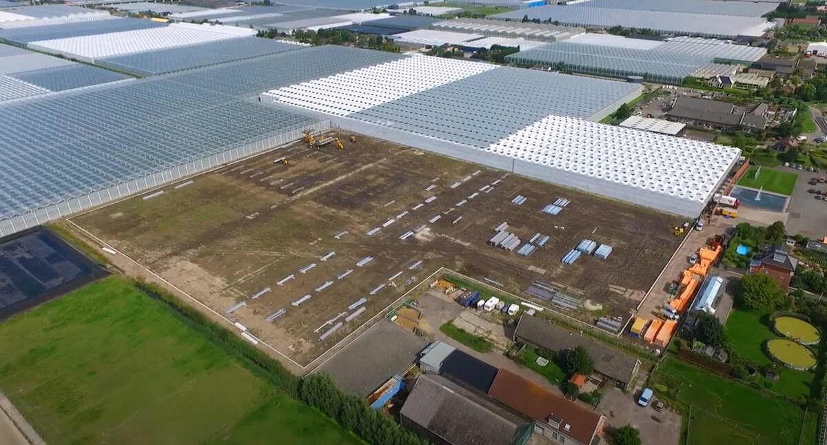 Поля теплиц уходящие в горизонт. И новые еще строятся, питомник Ovata