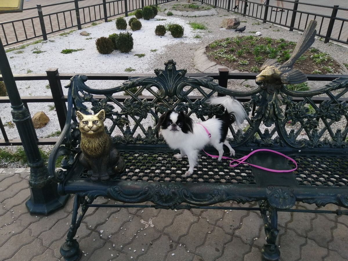 Туся . Июль 2021