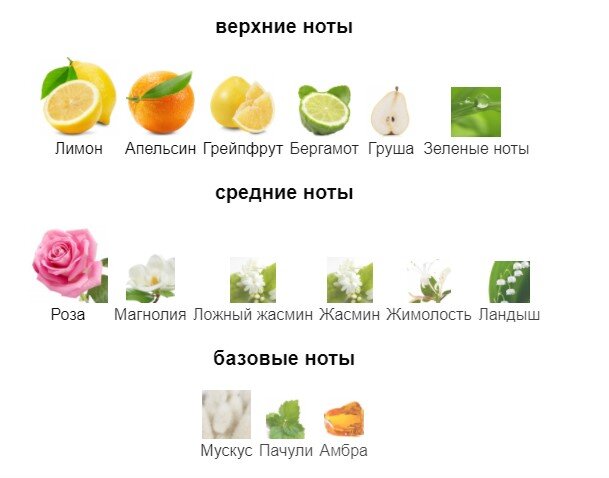 Не умею описывать ароматы, поэтому Фото с https://www.fragrantica.ru