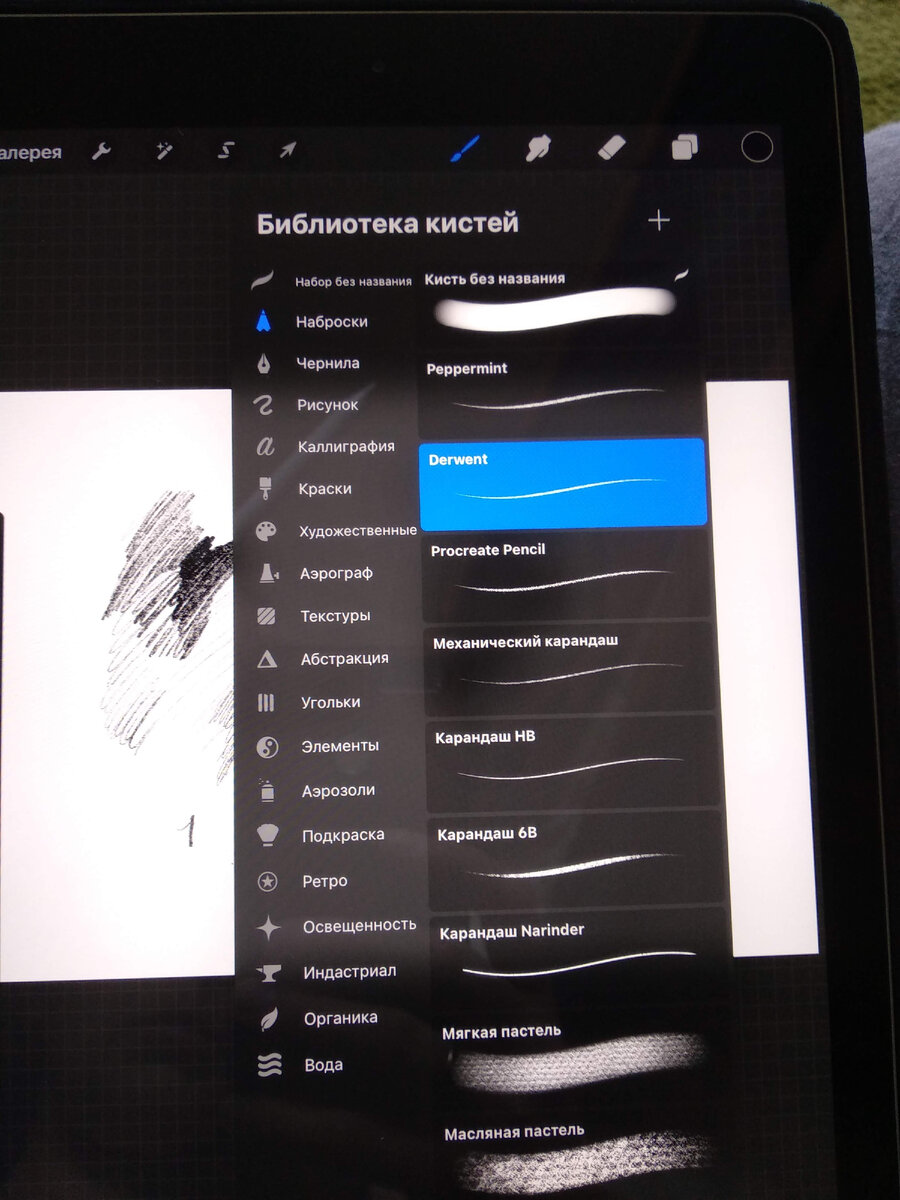 А вы иногда рисуете на планшете? Я решила освоить новую для меня программу  Procreate. Делюсь находками | Живые истории. Записки художника | Дзен